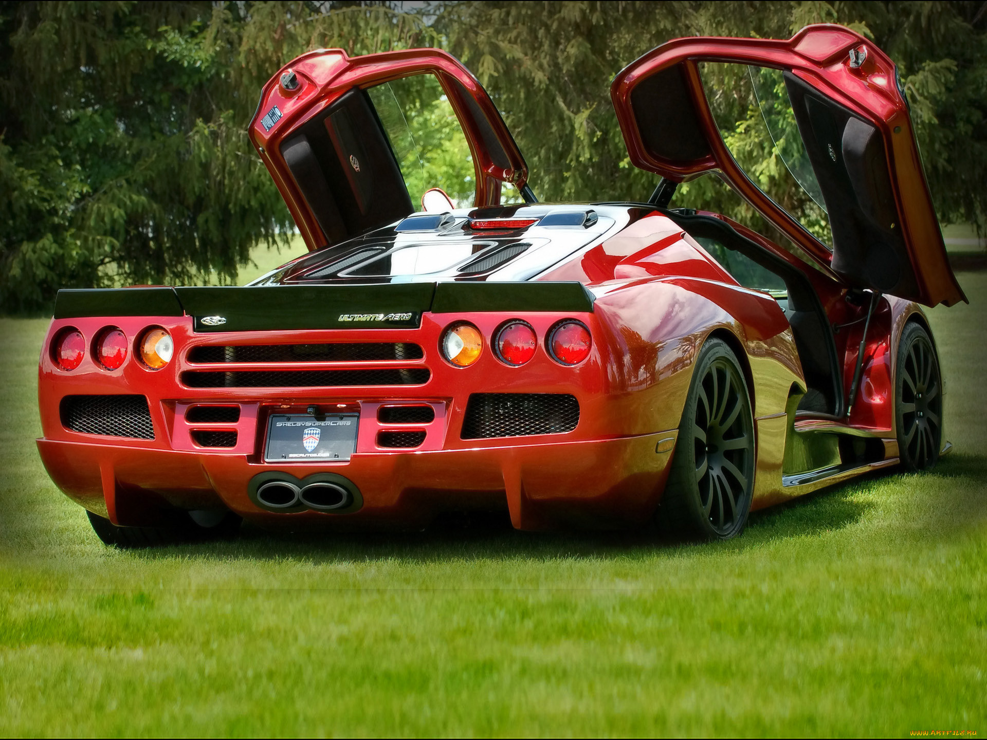 2009, ssc, ultimate, aero, red, , ac, cobra, shelby